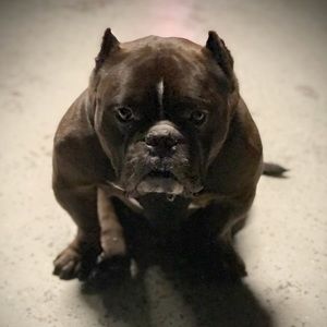 Meet your Posher, Chris